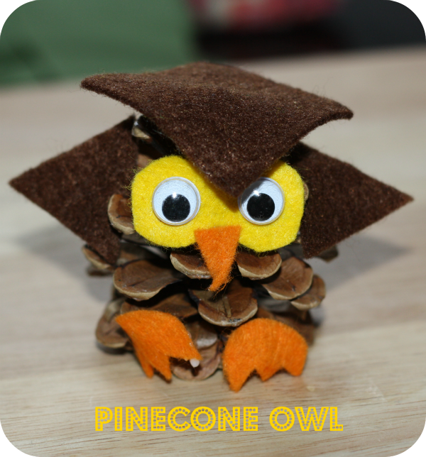 pinecone owls