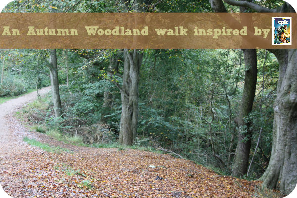 Epic woodland walk