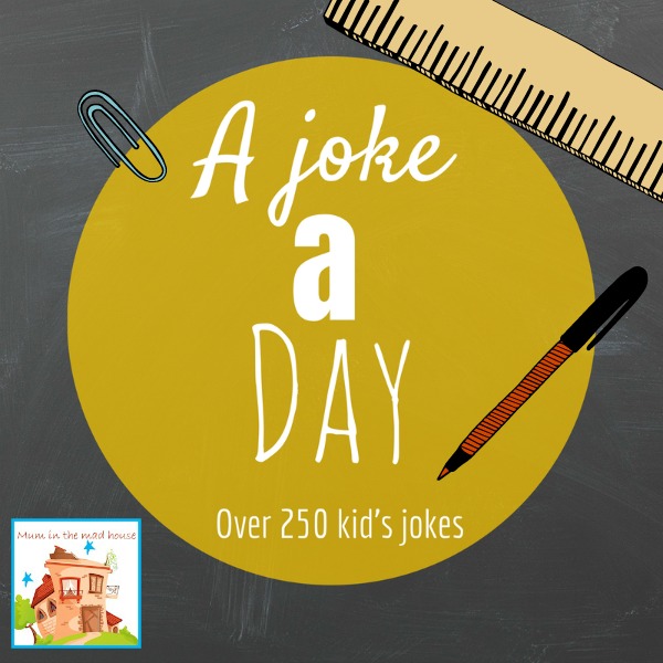 a joke a day  kids lunch box jokes