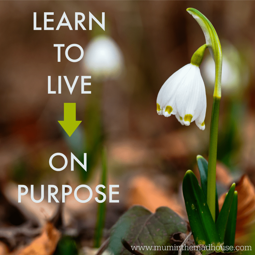 learn to live on purpose