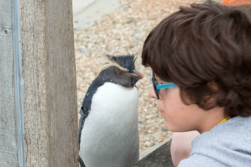 Family Safari and Wildlife Holidays in the UK 1