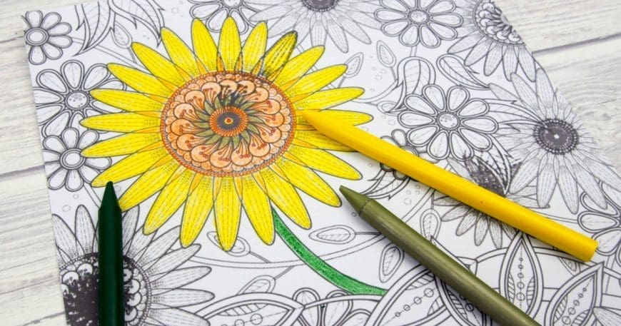 Celebrate summer days with this fab Sunflower colouring page for adults. Perfect for Enjoy the beauty of sunflowers with this free printable. 