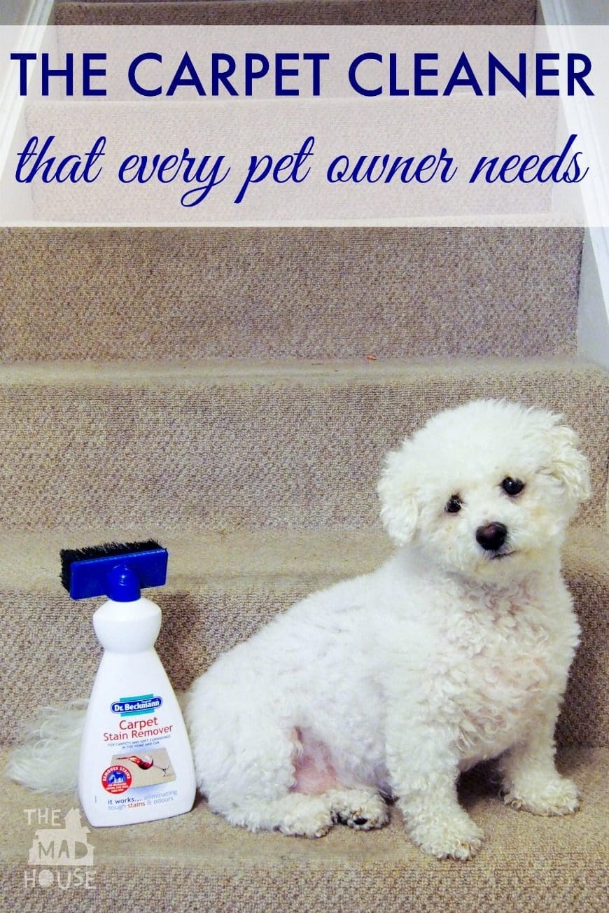 Dr Beckmann Carpet Cleaner - a must have for mums 