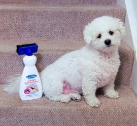 Dr Beckmann Carpet Cleaner - a must have for mums