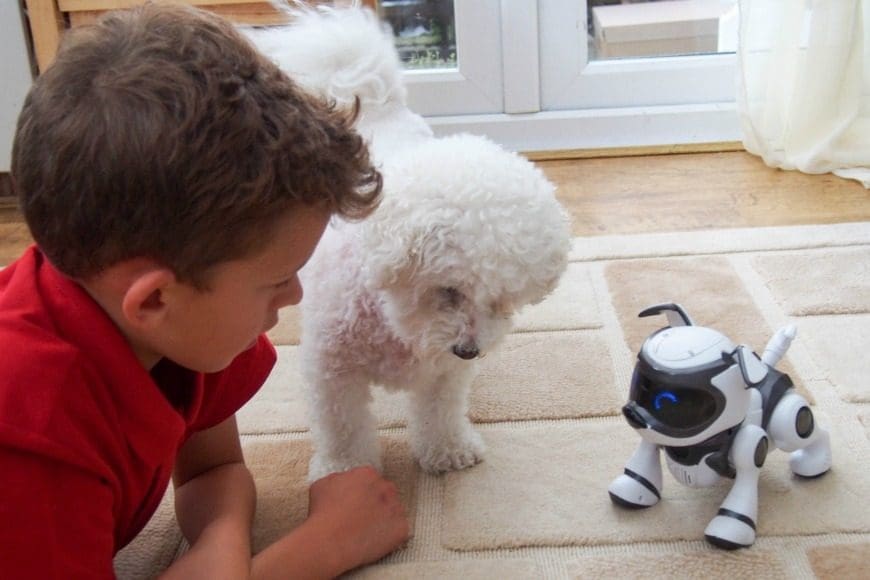 Teksta Robotic Puppy 5.0 Review