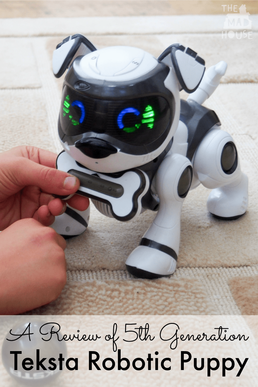Teksta Robotic Puppy 5.0 Review - Is the new 5th generation Teksta Robotic Puppy really worth the £60 price tag? The Mad House puts it through its paces.