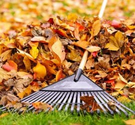 Top Outdoor Tasks to Tick off Your To-Do List This Autumn