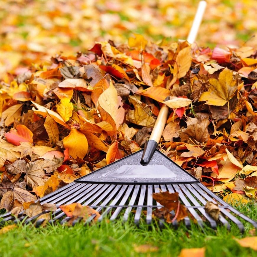 Top Outdoor Tasks to Tick off Your To-Do List This Autumn