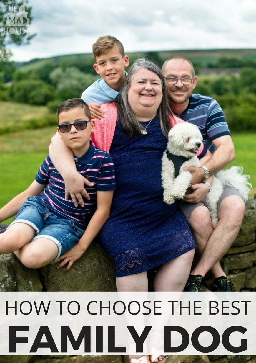 How to choose the best dog for your family. The choice of dog breed is really important when it comes to your family. 