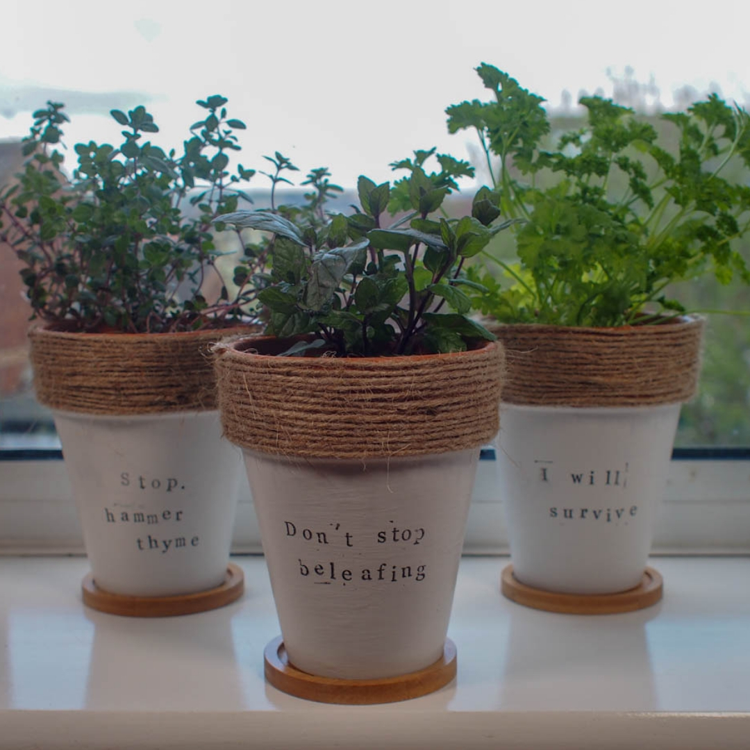 DIY Painted Terracotta Plant Pots - with Herb Puns