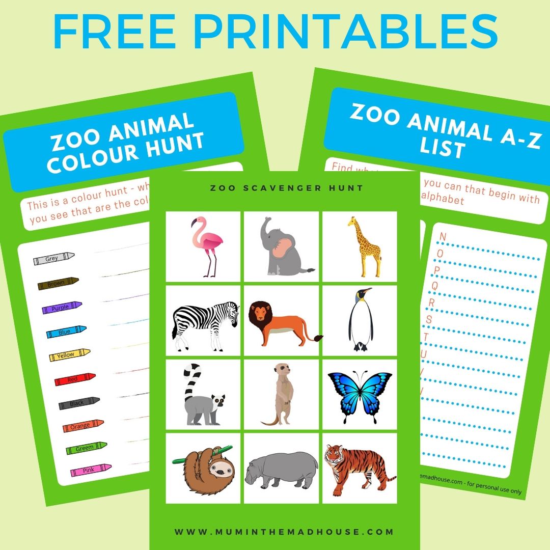 Free Printable Zoo Scavenger Hunt