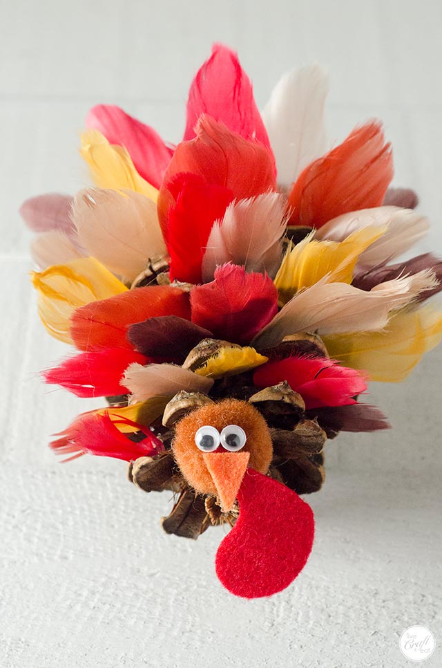 Pinecone turkeys with feathers