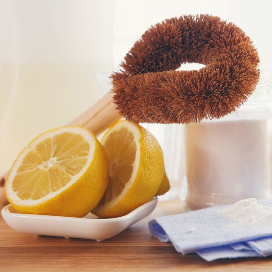 Lemon, Loofah and Bicarb natural cleaning products 