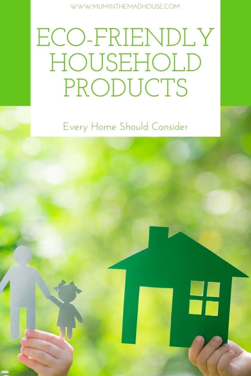 Eco-Friendly Household Products Every Home Should Consider In 2021