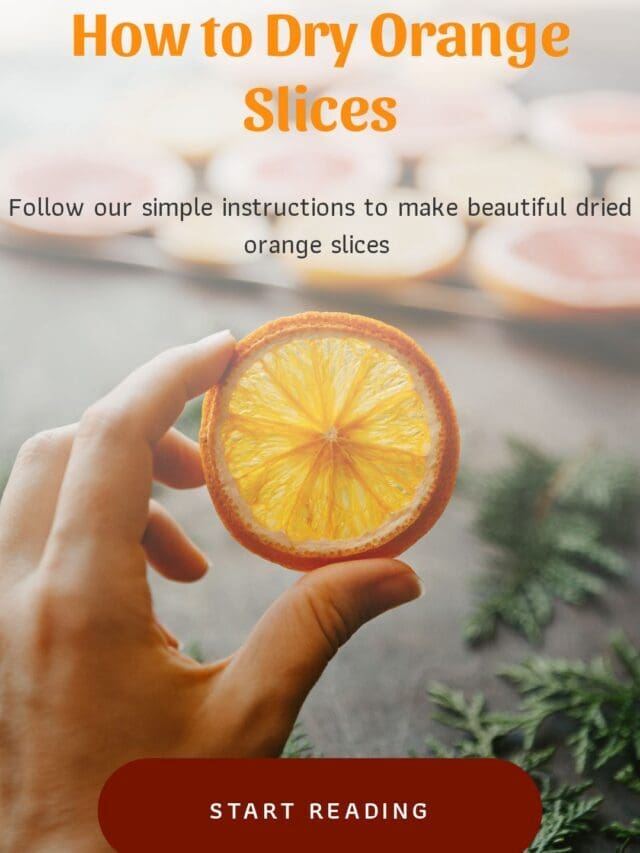 How to Dry Orange Slices