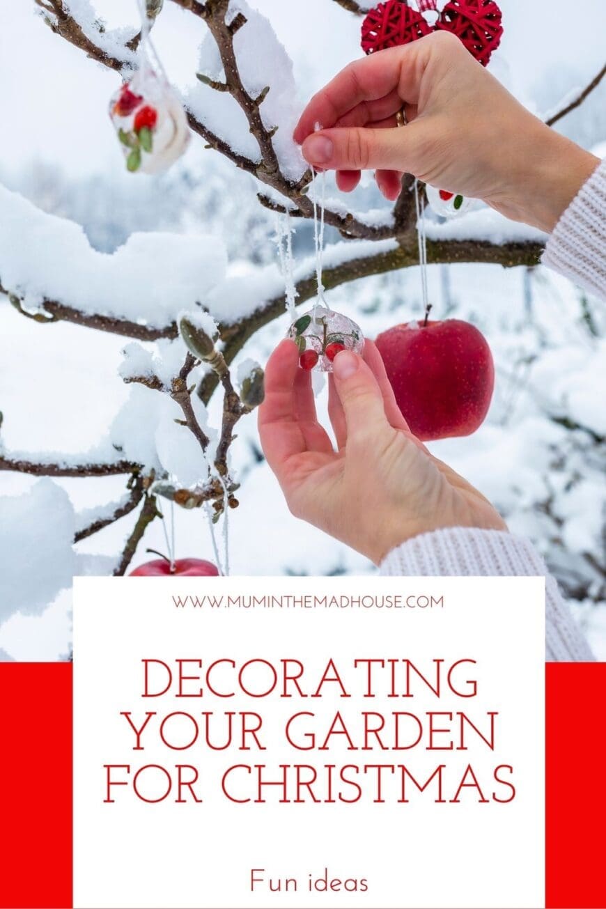 Decorating the garden for Christmas