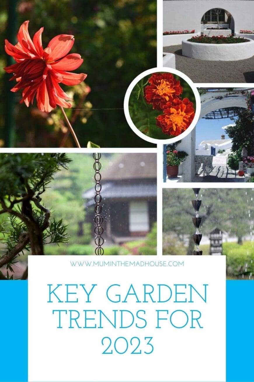 Discover the growing trends in gardening for 2023. The key garden trends for 2023 will be huge for outdoor spaces.