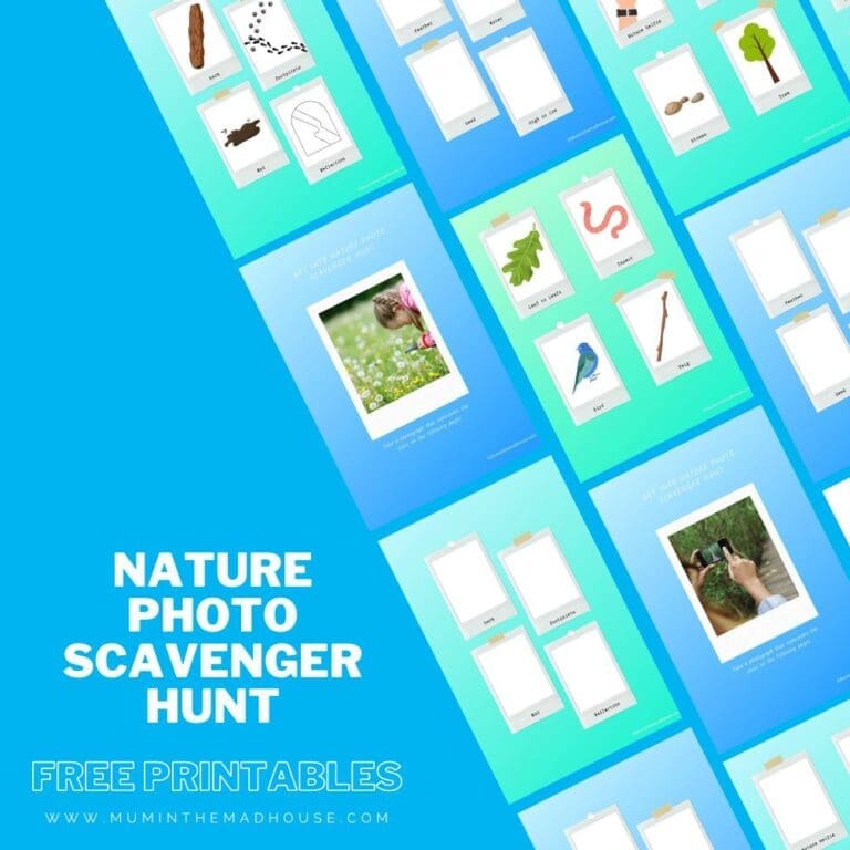 Nature Photo Scavenger Hunt with Free Printable Template - Mum In The ...