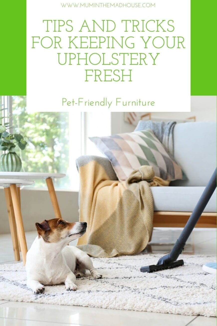 Discover essential tips for choosing and maintaining pet-friendly furniture to keep your upholstery fresh and stylish. Perfect for pet owners!
