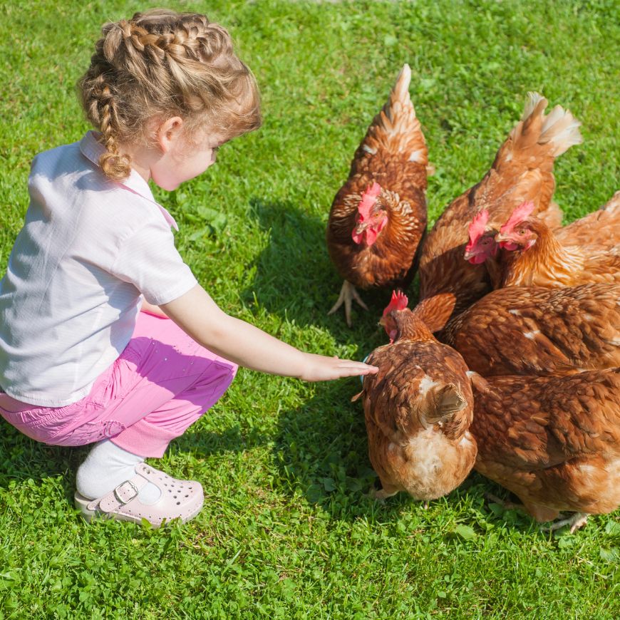Best Educational Chicken Games for Kids – Fun Farm Learning